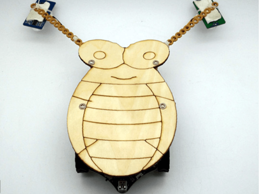 A Lovely Toy Car Named Cockroach