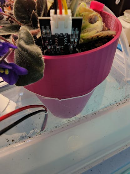 20220801_232204_XarMVApzkB.jpg?auto=compress%2Cformat&w=740&h=555&fit=max