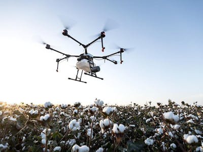 Early detection of cotton disease using Drones