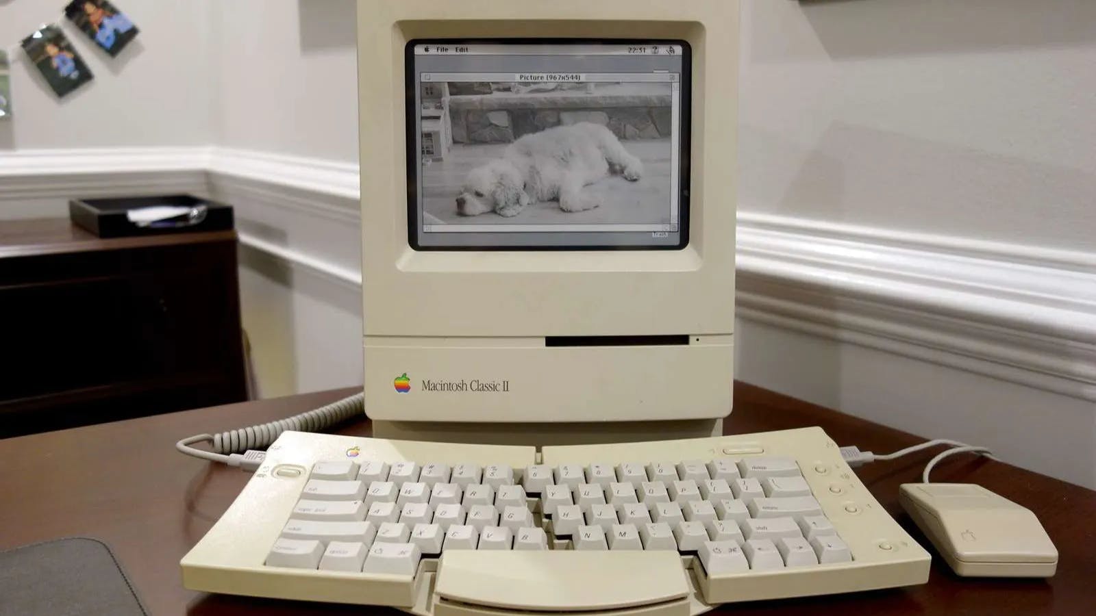 Vintage Macintosh Receives Modern ePaper Conversion - Hackster.io
