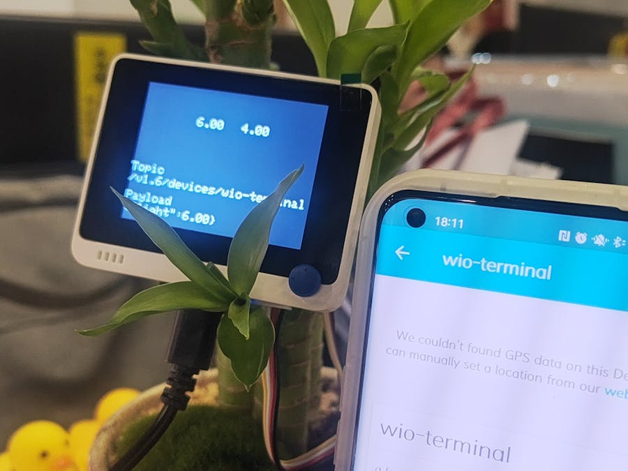 Growth Detection For Office Green Plant