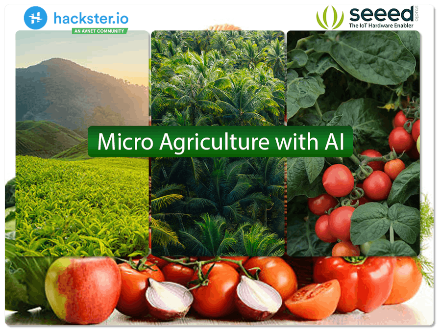 Micro Agriculture with AI