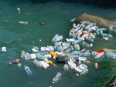 Plastic waste detection to reduce river pollution