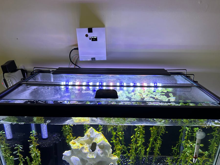 Automatic Aquarium Management System (AAMS)