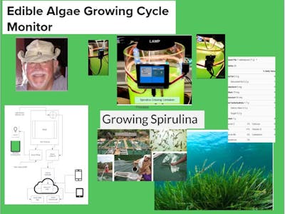 Edible Algae Growing Cycle Monitor