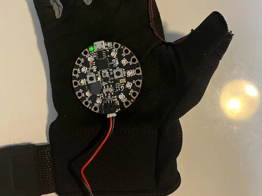 Project 2 - Gun Violence Glove