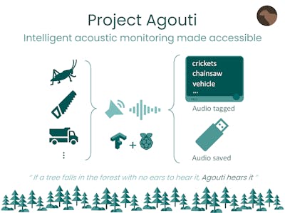 Project Agouti