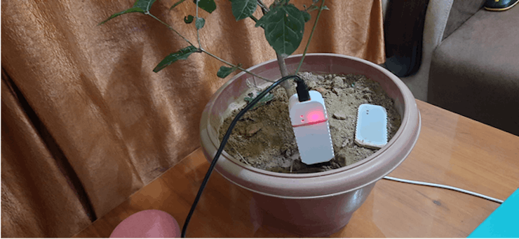 Implanting FLORAbot probe.