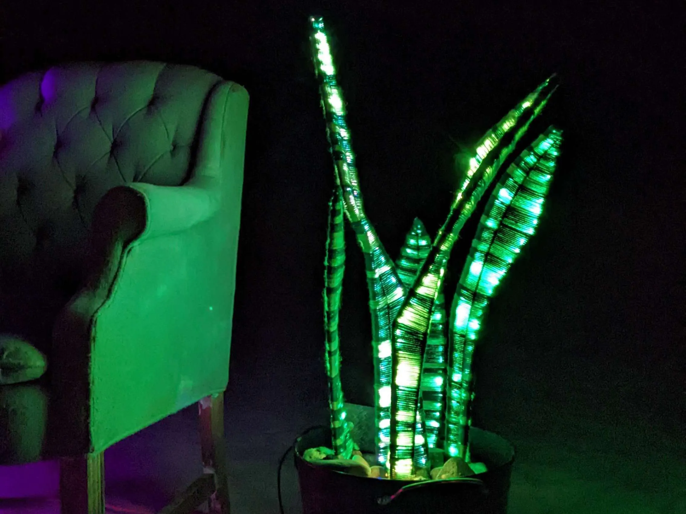 LED Snake Plant - Hackster.io