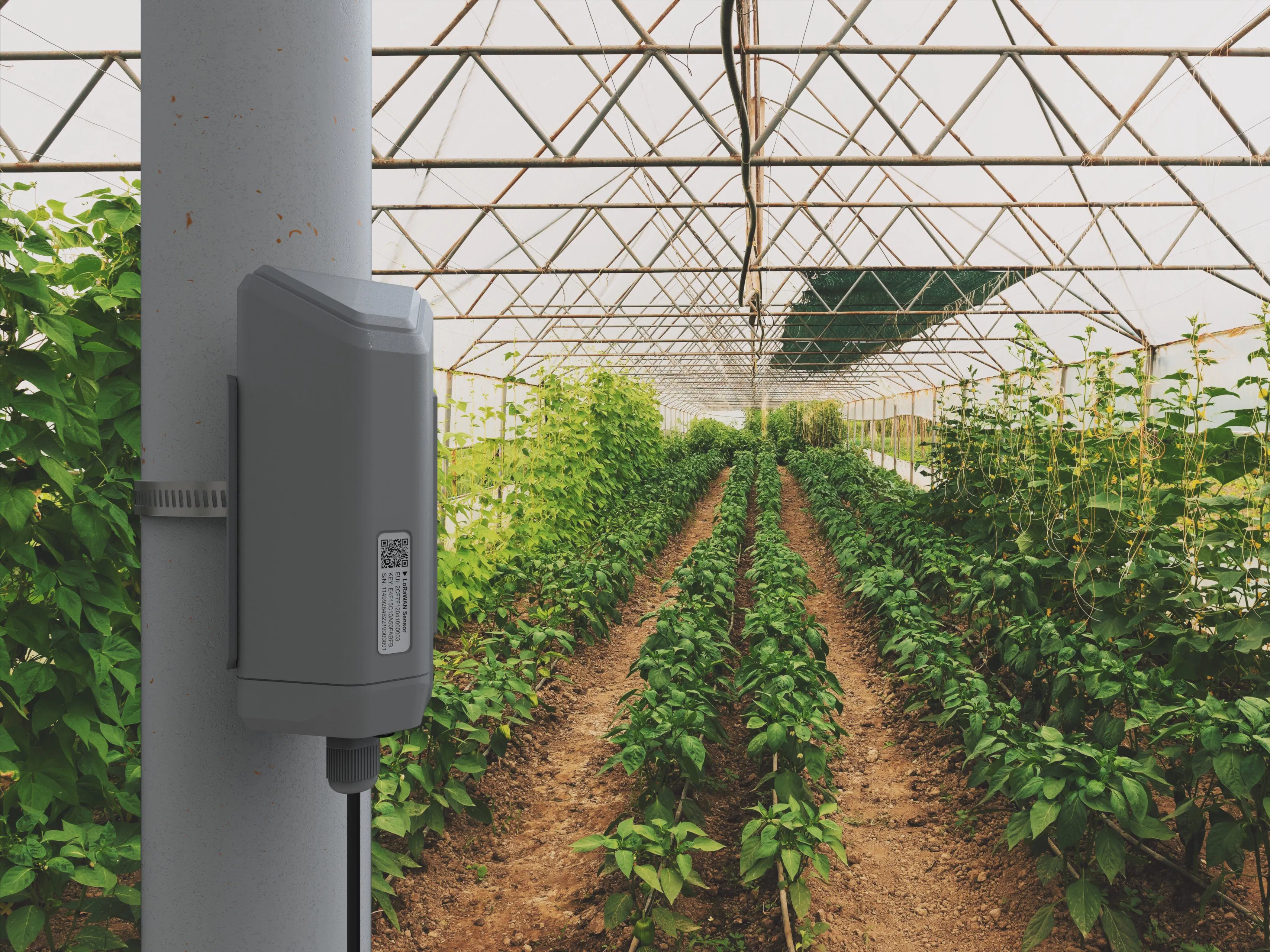 5 Minutes to Develop an Industrial LoRaWAN Sensor - Hackster.io