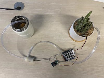 Automatic Plant Watering System with Arduino