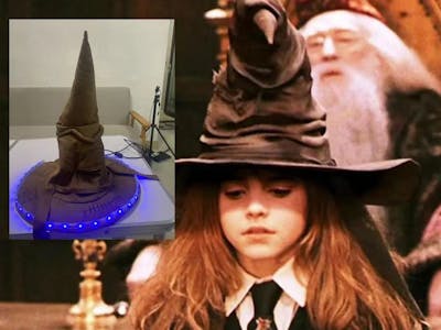 Sorting Hat - Harry Potter Wonderland