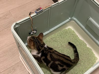 Smart Cat Litter box