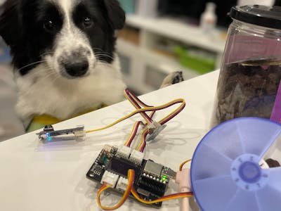 VisionAI Automatic Dog Treat Dispenser /wRoboflow and YOLOv5