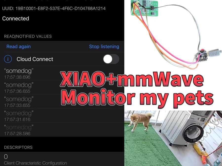 Monitor your pet with XIAO BLE+mmWave sensor