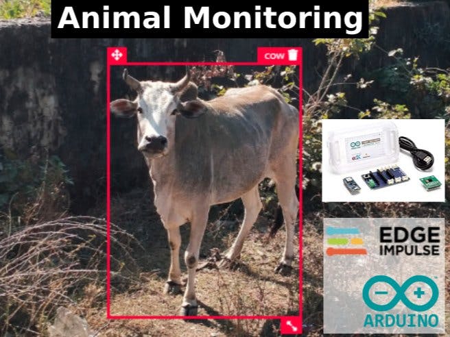 Animal Monitoring using TinyML