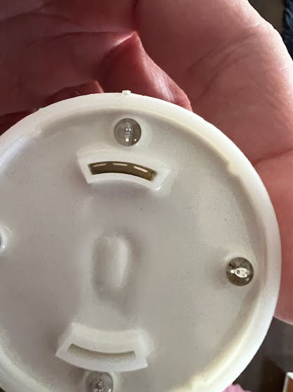 /attachments/1550868/34C0B150-E9C1-486B-9221-BE567096D475_1_102_o.jpeg?auto=compress%2Cformat&w=740&h=555&fit=max