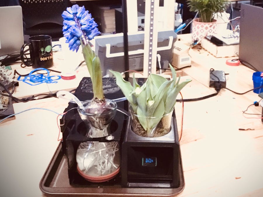 "Calm Station" Self Watering Plant System