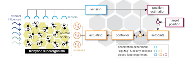 Los investigadores tienen como objetivo ayudar a las abejas con un nuevo dispositivo de "panal robótico". (📷: Barmak et al)