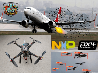 Managing Bird Damage in Crops with NXP HoverGames3