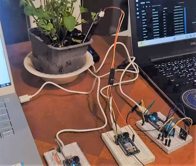 Plant Health Monitoring System, set up and using all three sensors to gather vital data