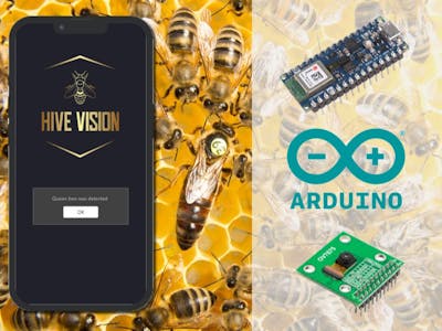 Hive Vision