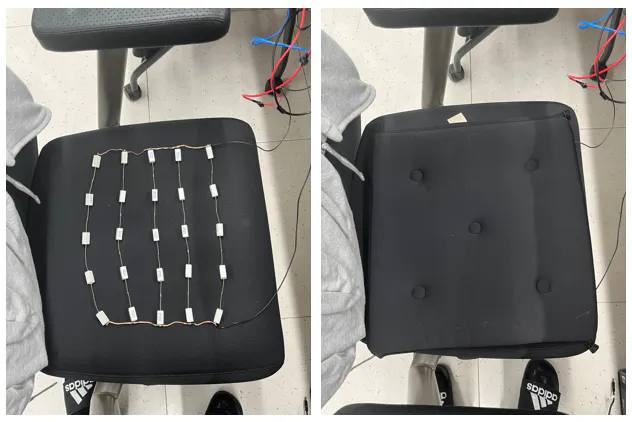 Weather Prediction Electric Cushion, Story