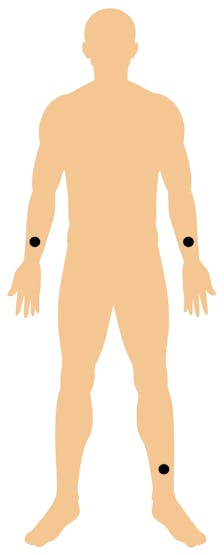 Human body.jpg