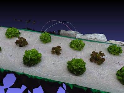 Real-life FarmVille: Photogrammetry for Hydroponics