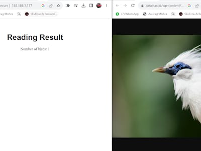TinyML Based Bird watcher