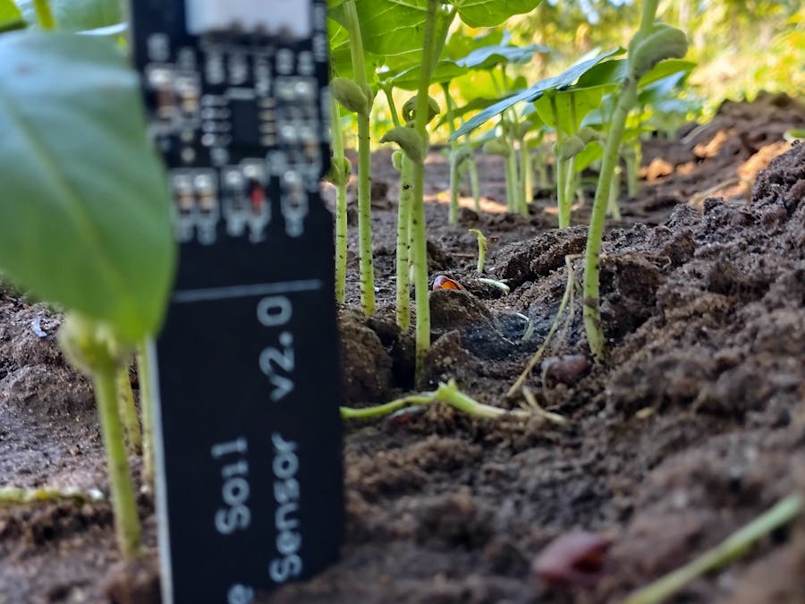 Build Your Own Plants Moisture-Meter 🎉