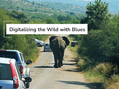 Digitalizing the Wild with Blues banner