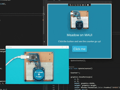 Run Meadow within a MAUI Windows Application