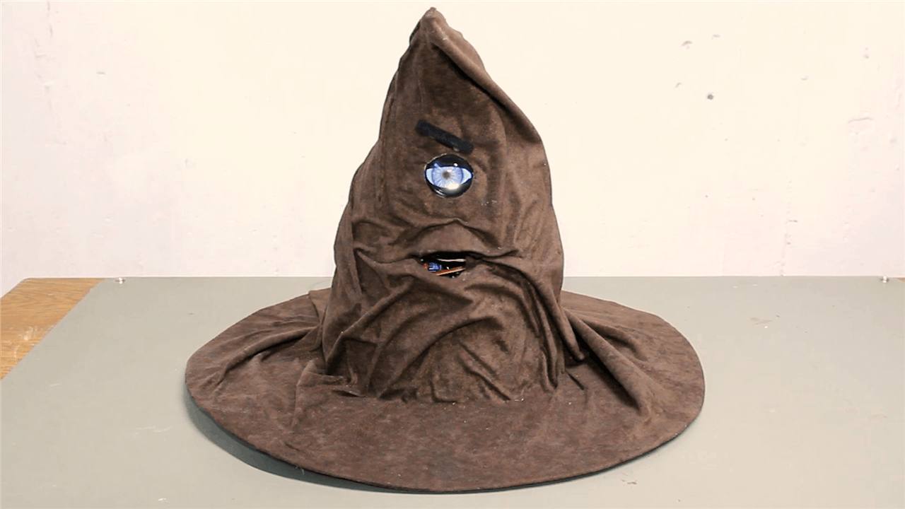 Harry Potter Real Talking & Animatronic Mouth Movement Sorting Hat
