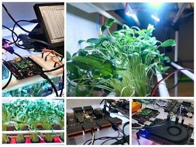Cellular Automated Hydroponics System with Blues & Qubitro banner