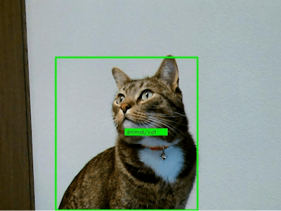 Smart Home Pet Surveillance on BeagleBone AI-64