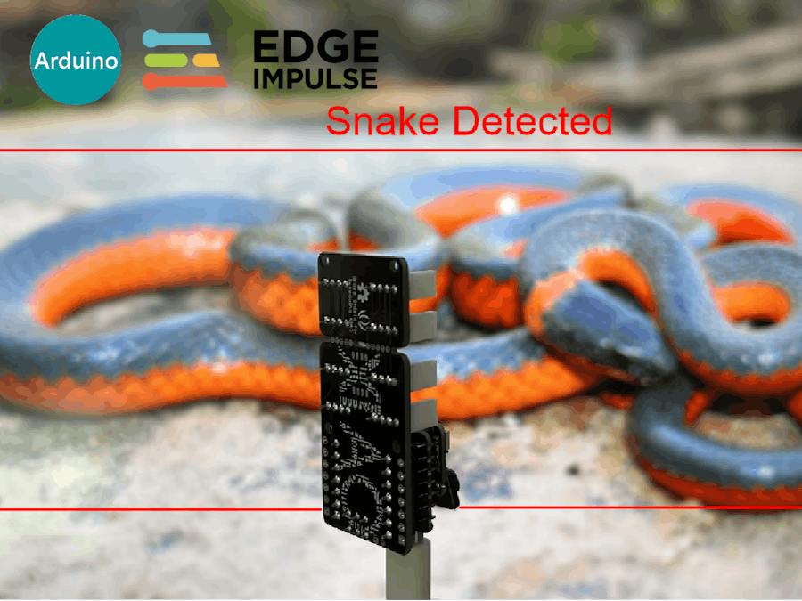 LoRaWAN Based TinyML Snake Recognition System