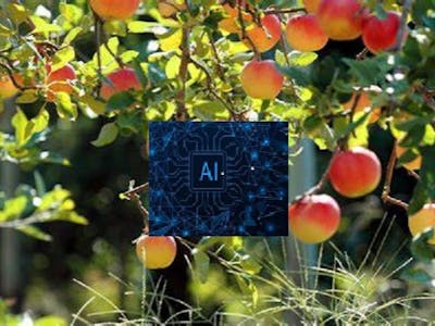 Pick at right time and analyze plant disease with AI