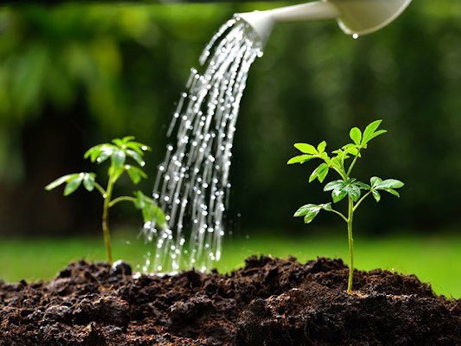 Automatic Plant Watering System