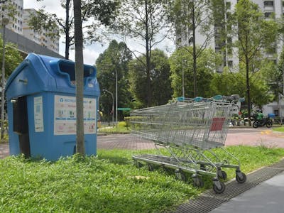 Smart Shopping Cart (Curbing Cart Chaos)