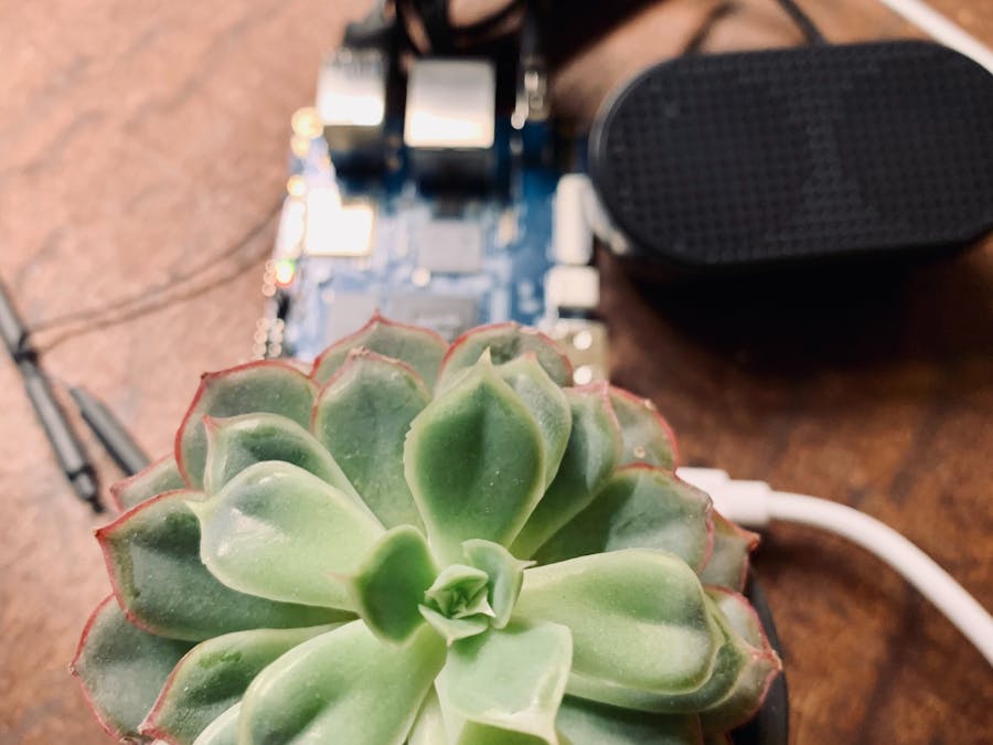 Practical AI - Local LLM and machine learning for plant care