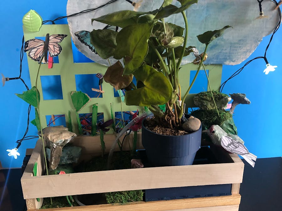 Indoor Plant Habitat