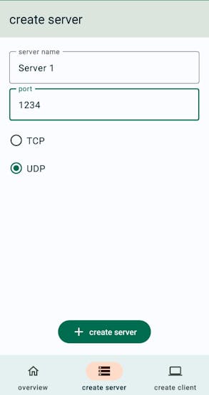 Setting the correct port from UDP app