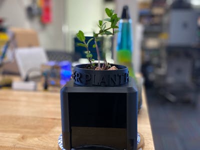 Smart self watering plant