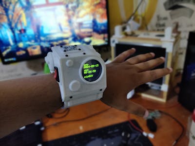 PiP-WATCH Project