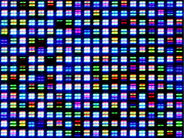 Expect the Unexpected - Entropy and Randomness