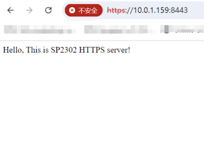 Implementing HTTPS Clients and Servers on the SP2302