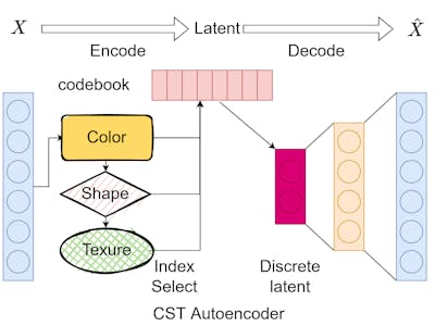 Designing and Deploying CST-Autoencoder for Ryzen AI PCs