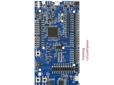 Flashing circuit python in nRF52840 DK