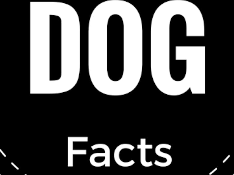 Dog Facts